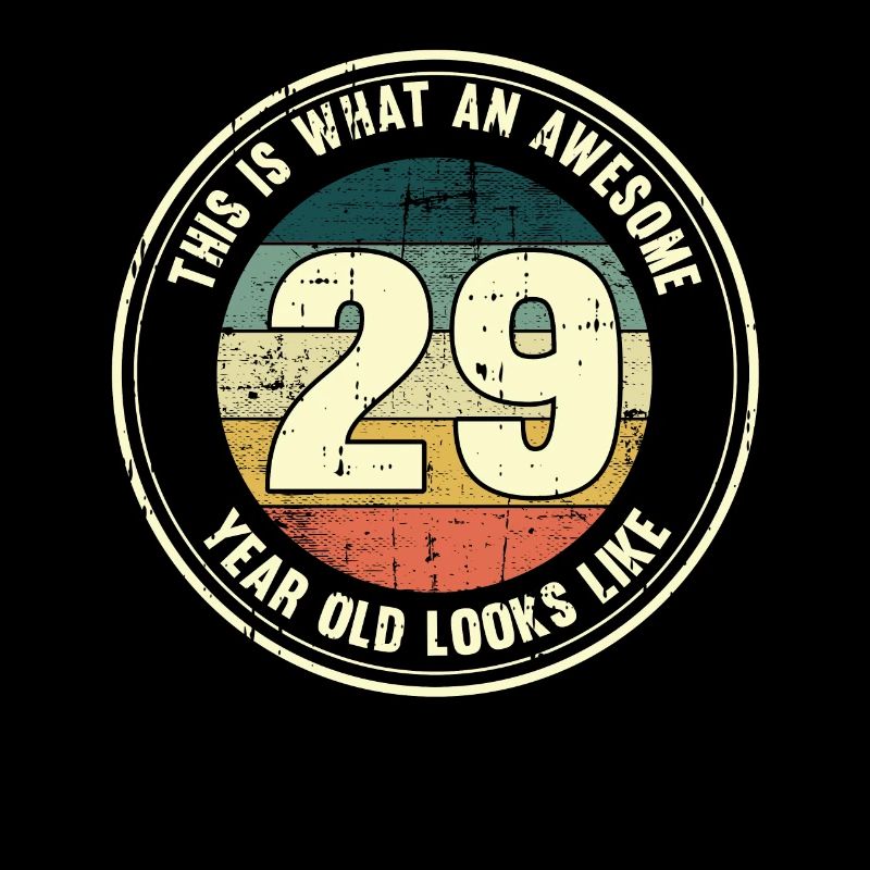 29. Geburtstag so sieht man mit 29 Retro Geschenk