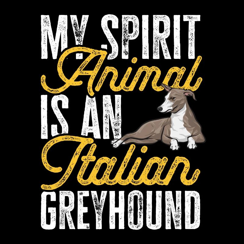 Lévrier italien Greyhound Chiens