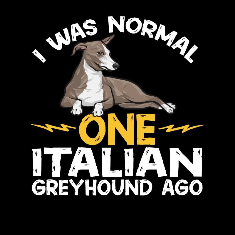Italienischer Windspiel Windhund Hunde