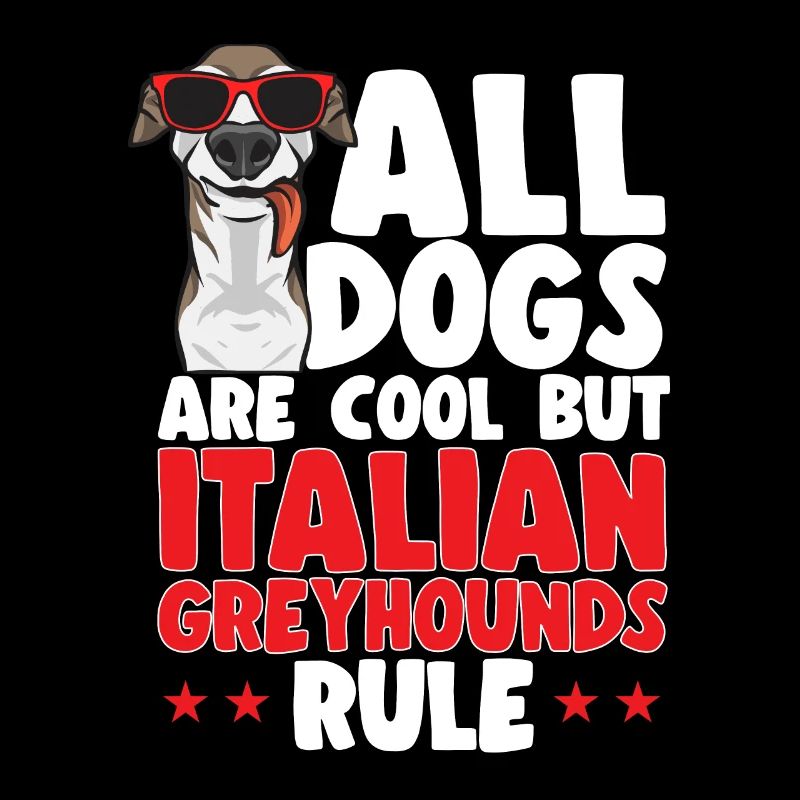 Lévrier italien Greyhound Chiens