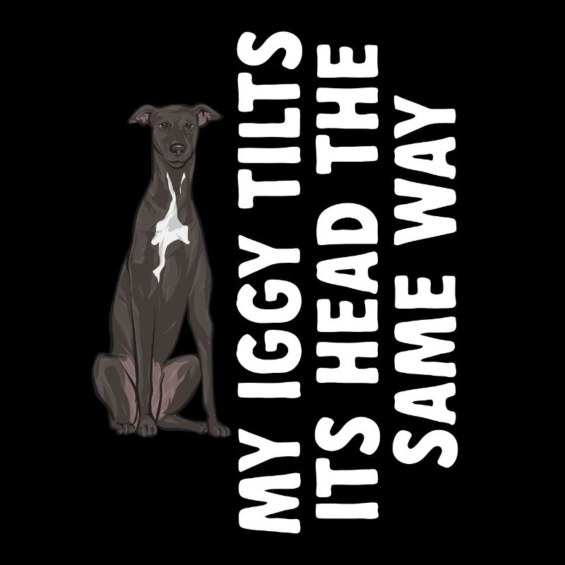 Lévrier italien Greyhound Chiens