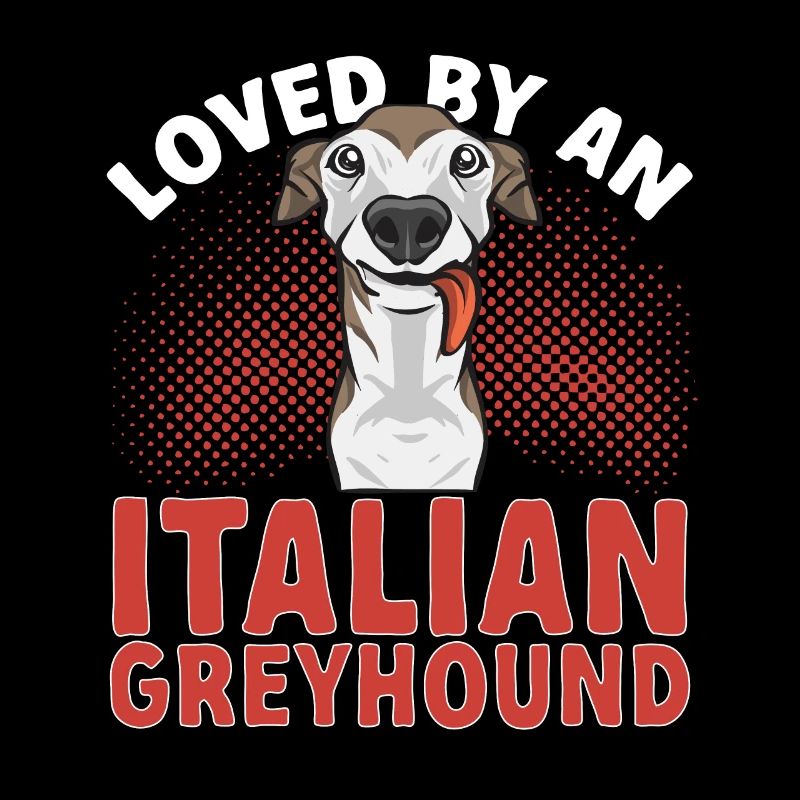 Italienischer Windspiel Windhund Hunde