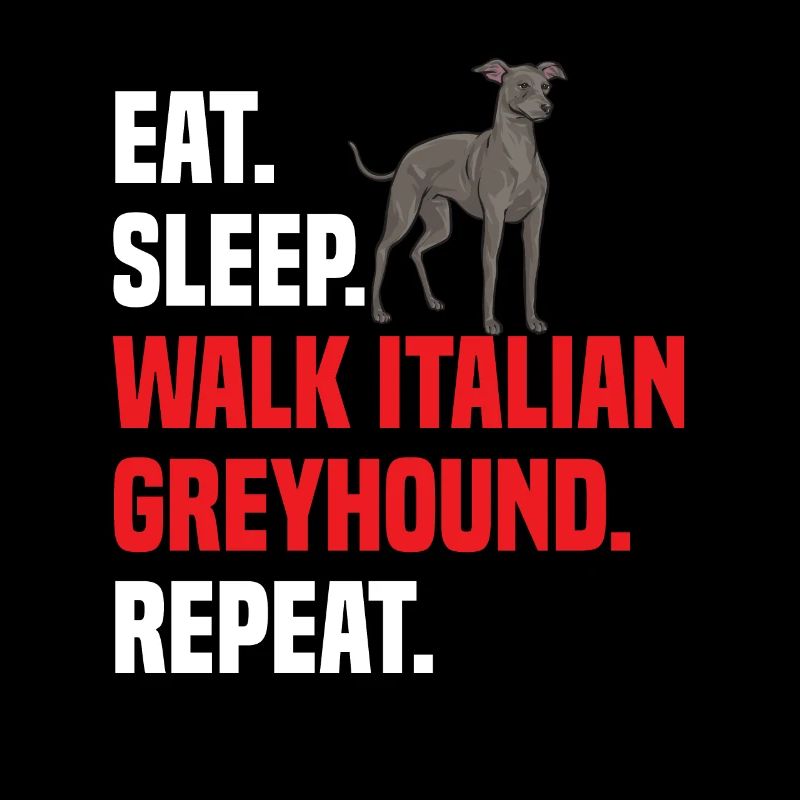 Lévrier italien Greyhound Chiens