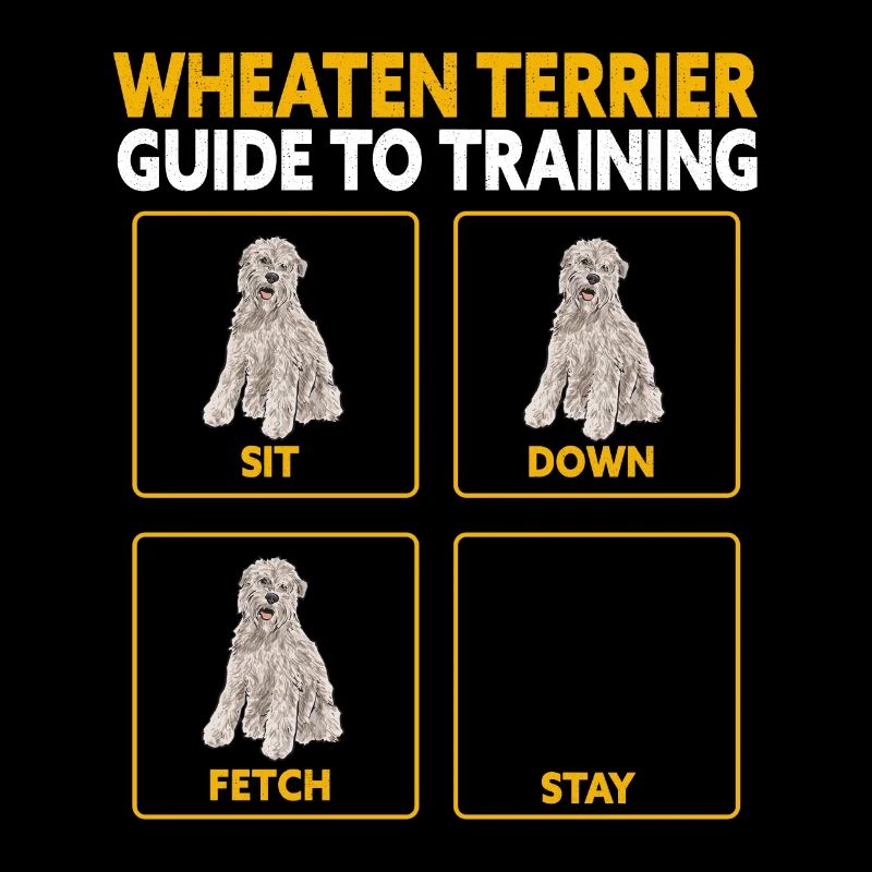 Terrier irlandais à enrobage doux