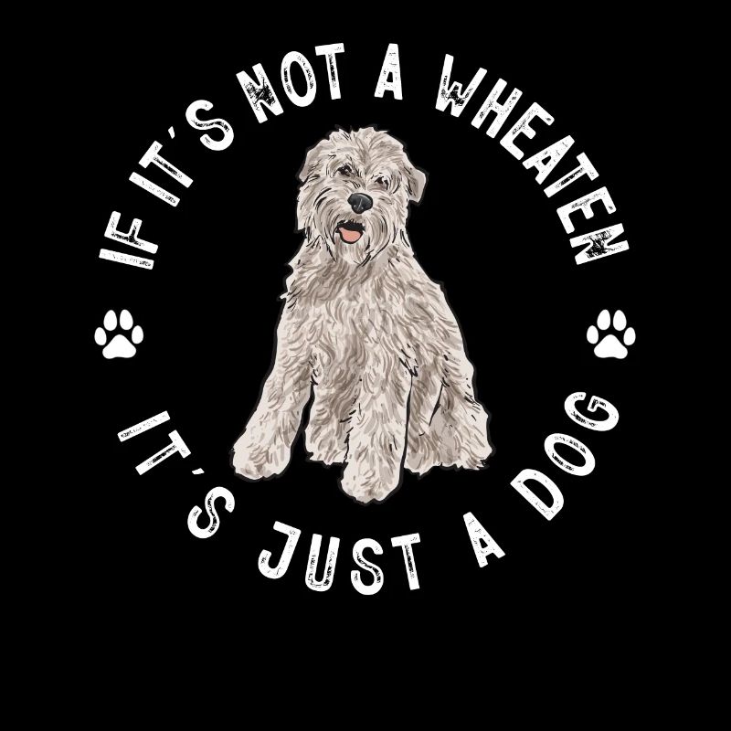 Irish Soft Coated Wheaten Terrier