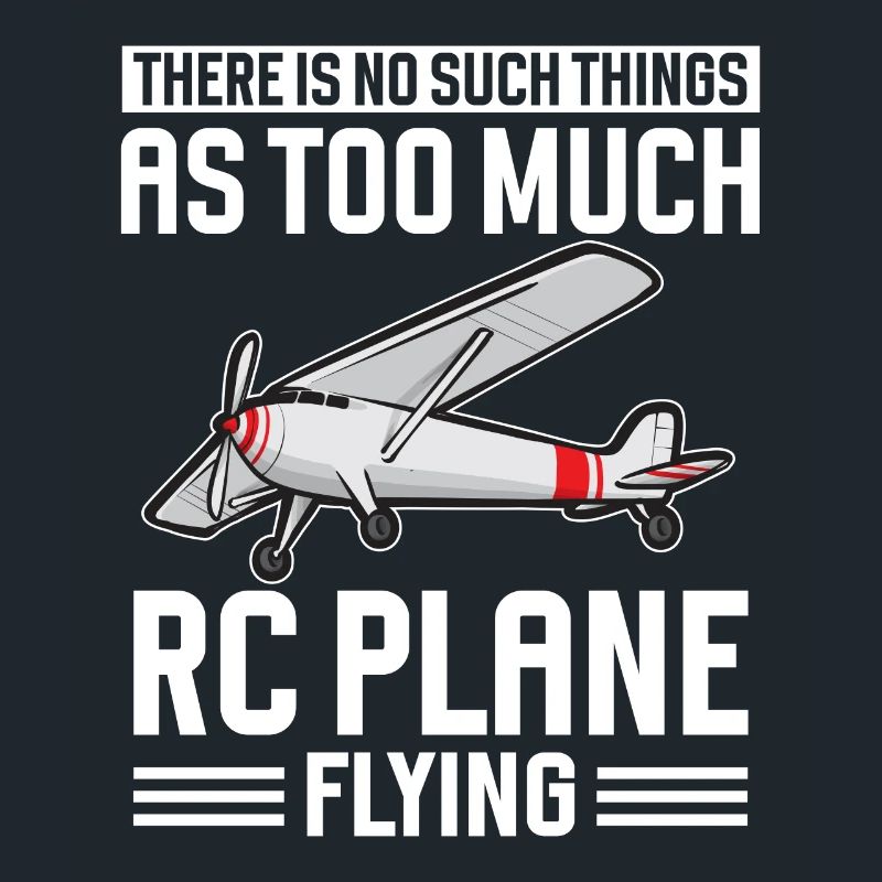 Modèle d’avion télécommandé