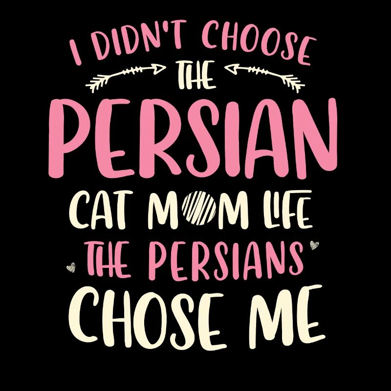 Chat persan Chat Amoureux Propriétaire de chat Persan Longhair C