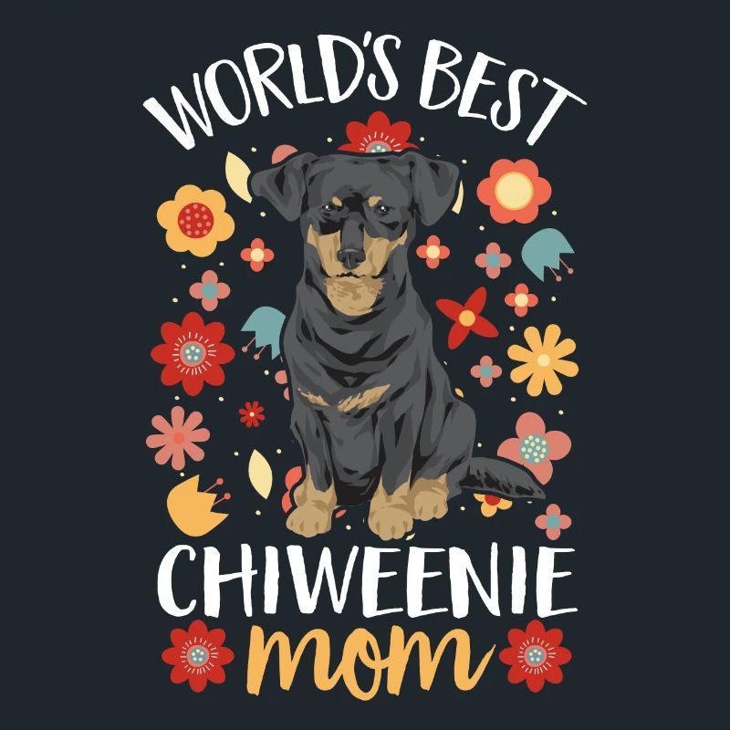 Chiweenie Dog