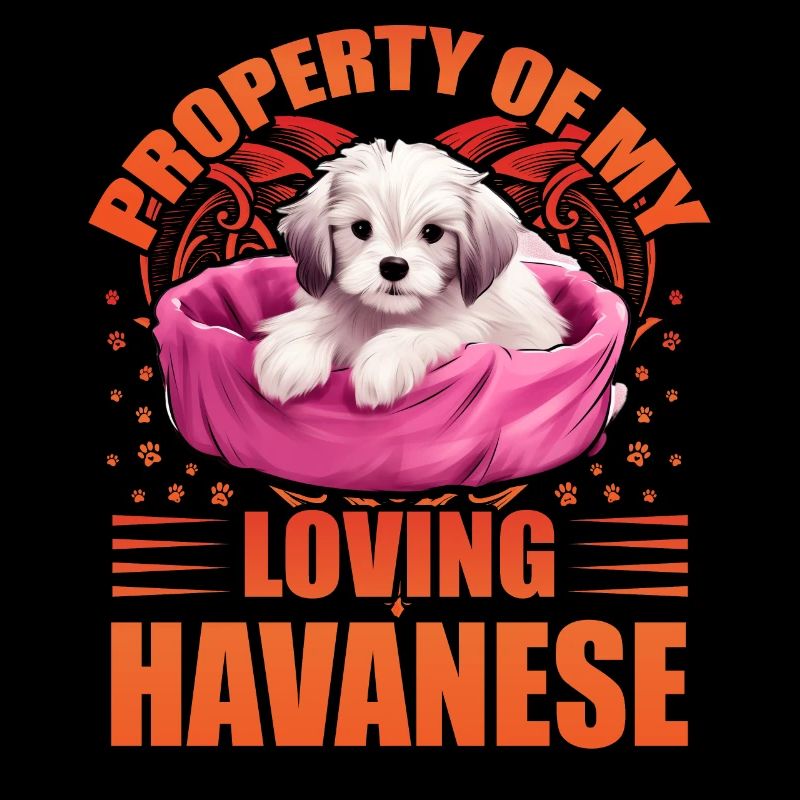 Propriété de mon bien-aimé bichon havanais