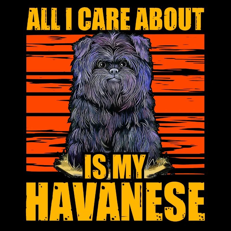 Tout ce qui m’importe, c’est mon bichon havanais