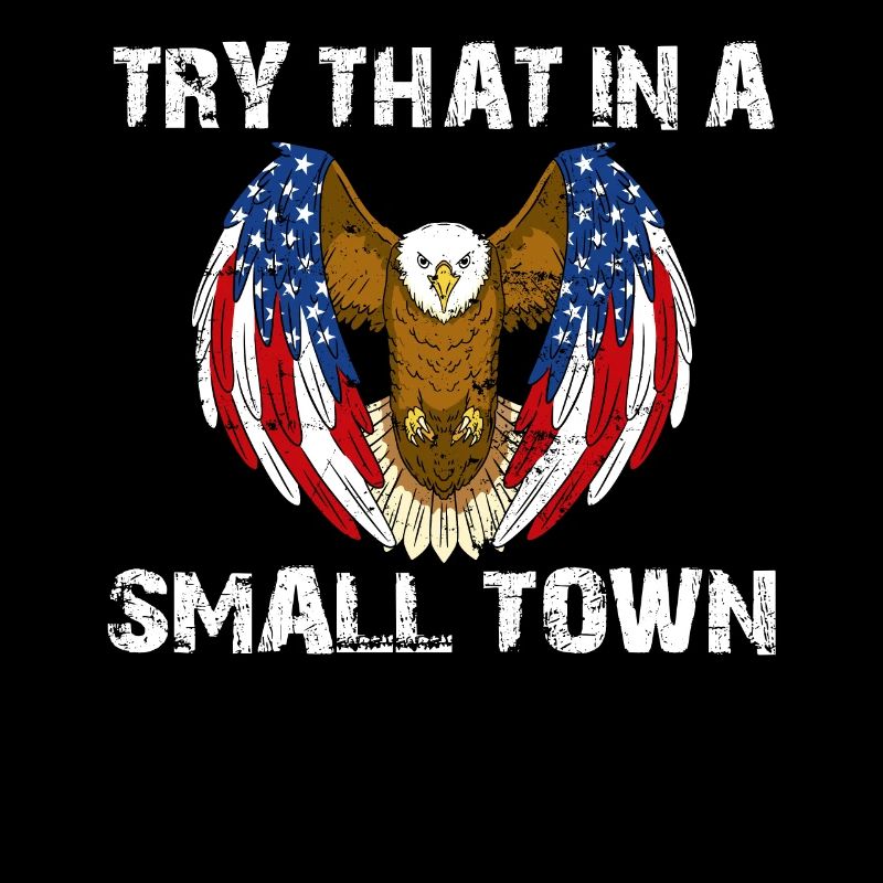 Versuchen Sie das in einer Kleinstadt American Flag Eagle