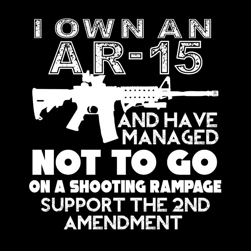 AR 15 I Own An AR 15
