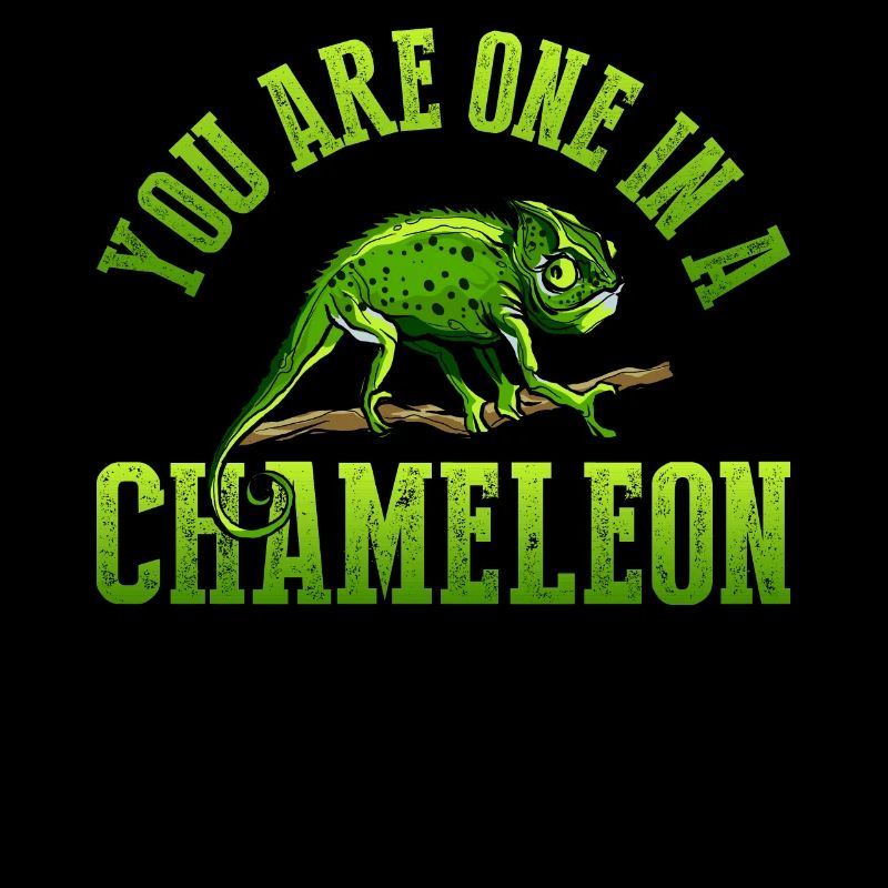 Vous ne faites qu’un dans un T-shirt caméléon