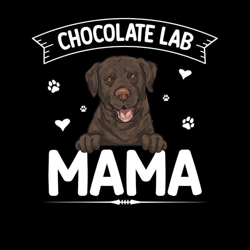 Chien Labrador Retriever chocolat