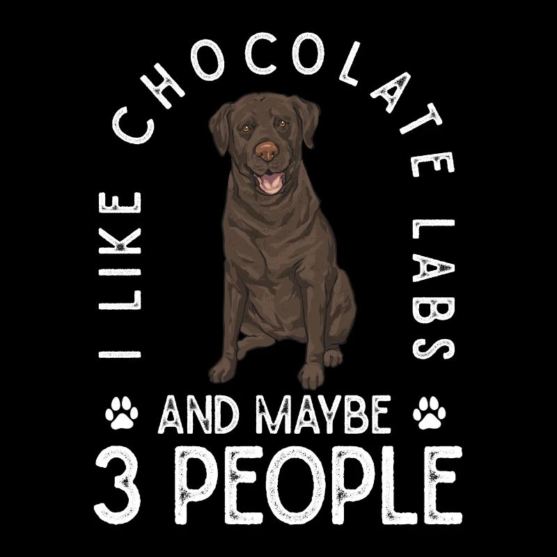 Chien Labrador Retriever chocolat
