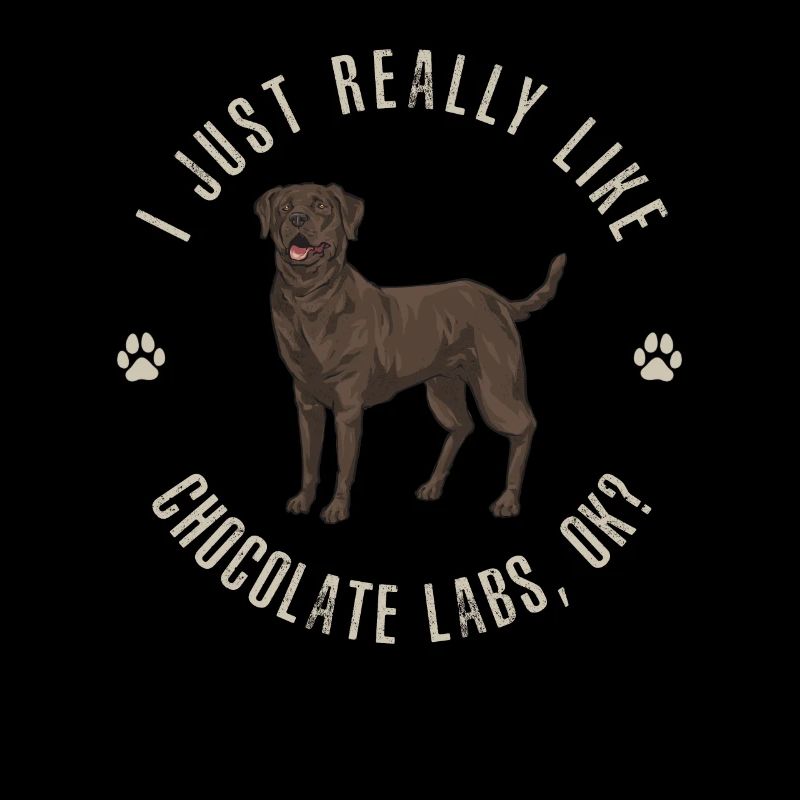 Chien Labrador Retriever chocolat