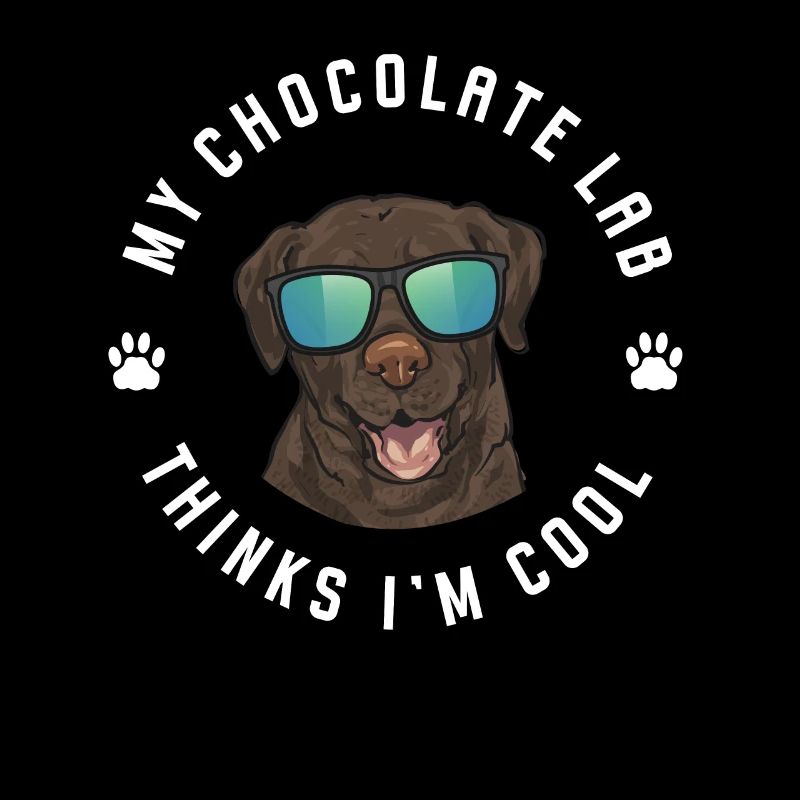 Chien Labrador Retriever chocolat