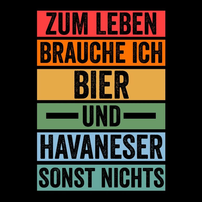 Hund Bier Havaneser