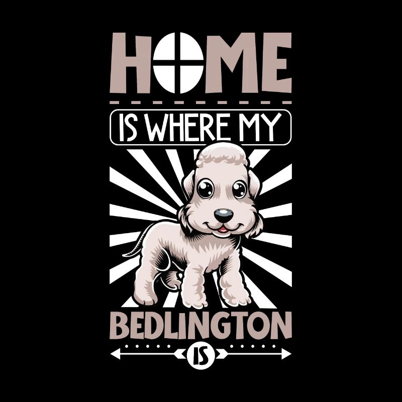 Zuhause - Bedlington Terrier