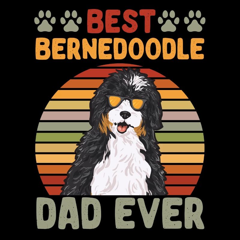 Bernedoodle Hund