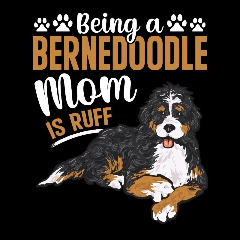 Bernedoodle Hund