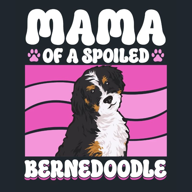Bernedoodle Hund