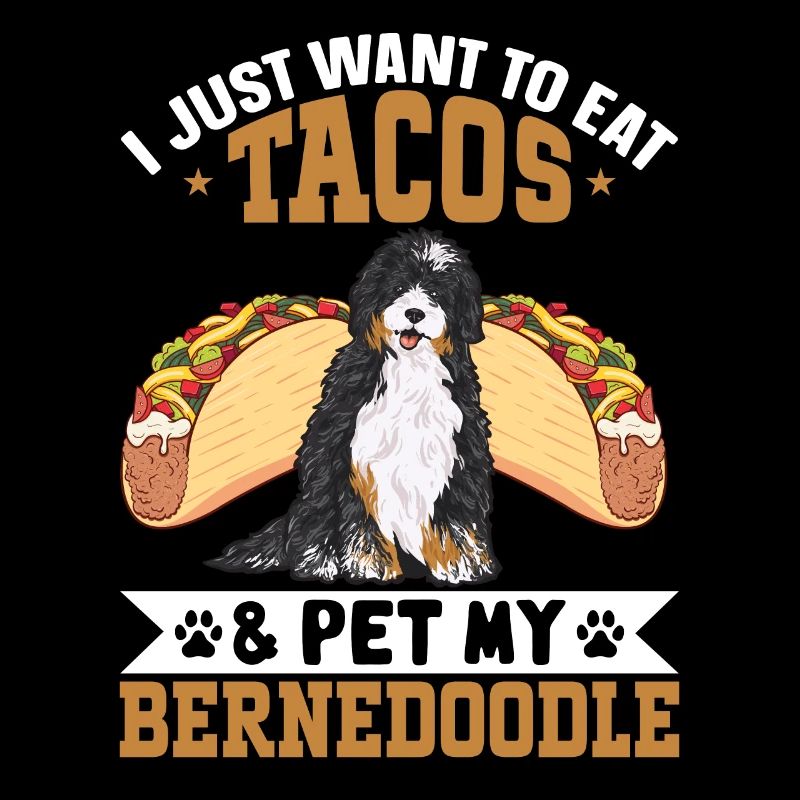 Bernedoodle Hund