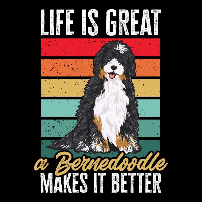 Bernedoodle Hund
