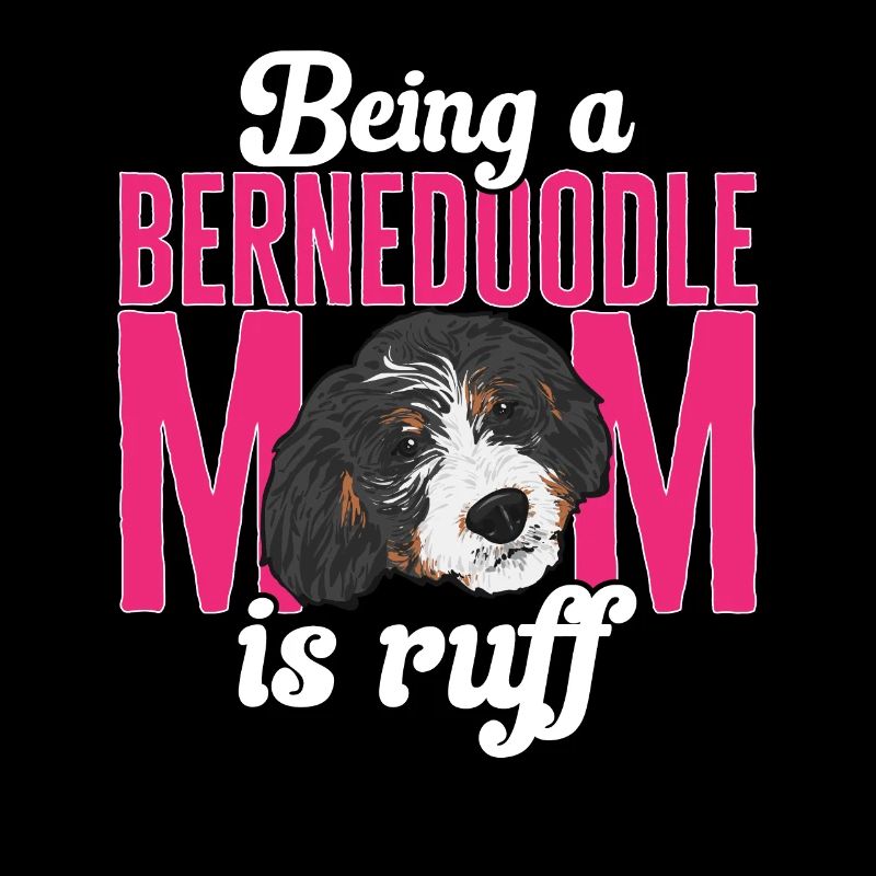 Bernedoodle Hund