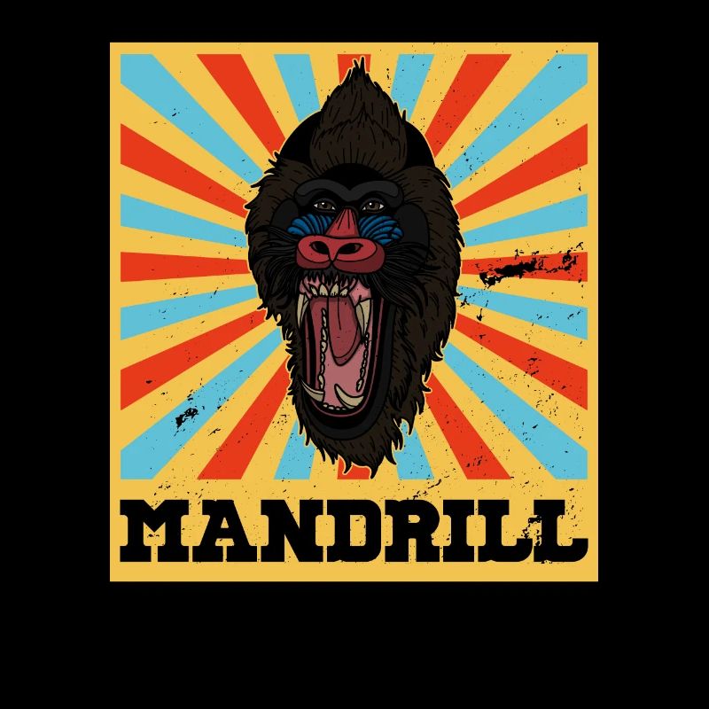 Mandrill Afrika Primat Safari Affe Säugetier
