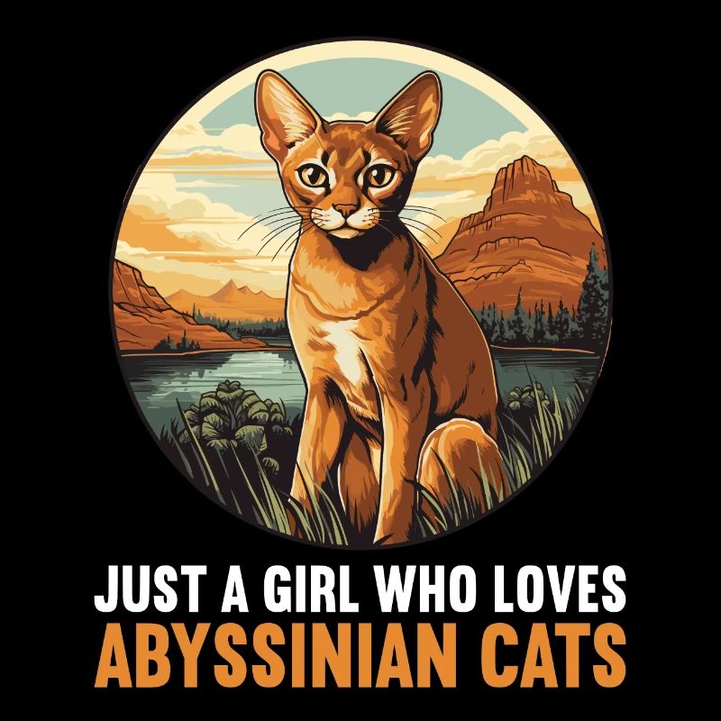 Chat d’Abyssinie Abessinierkatze