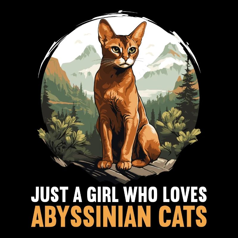 Abyssinian Cat Abessinierkatze