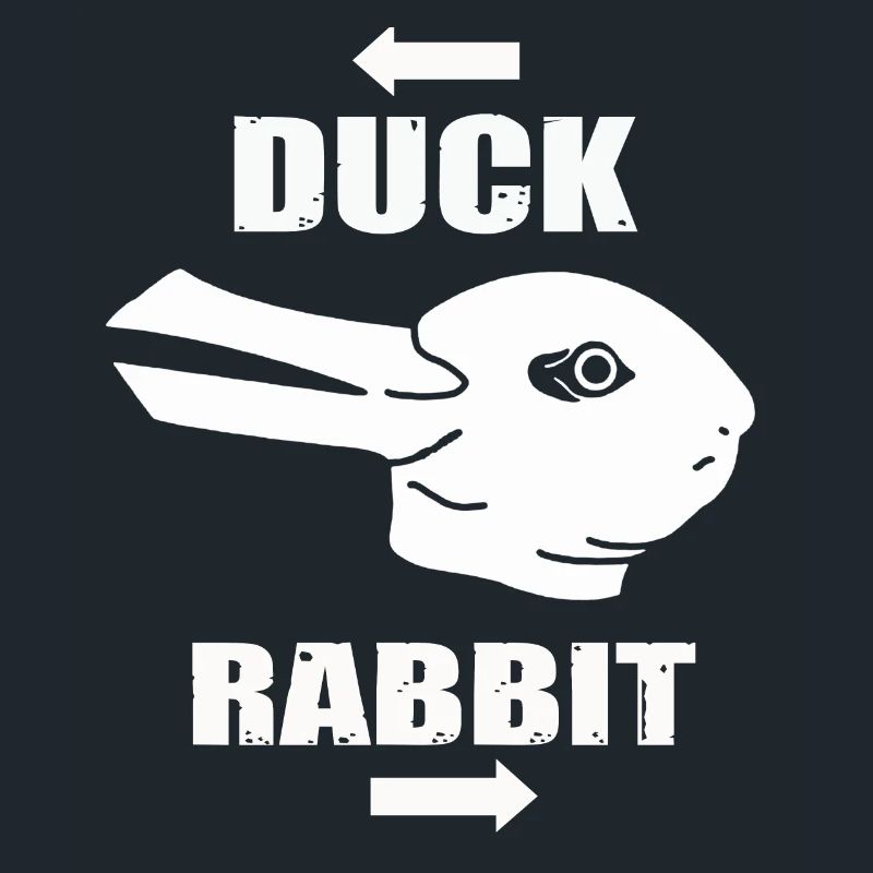 Wittgensteins Rabbit Duck Illusion