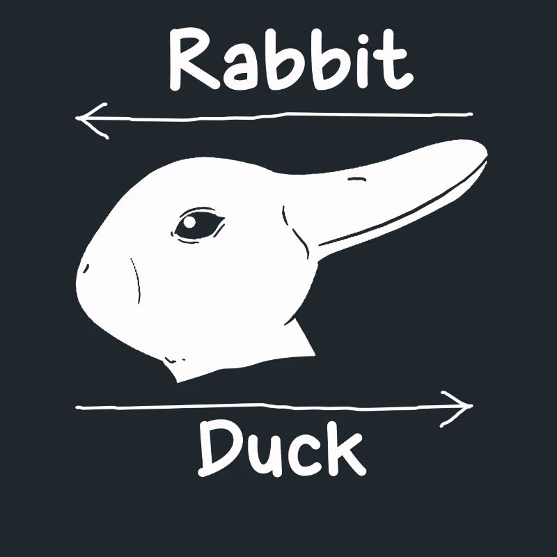Wittgensteins Rabbit Duck Illusion