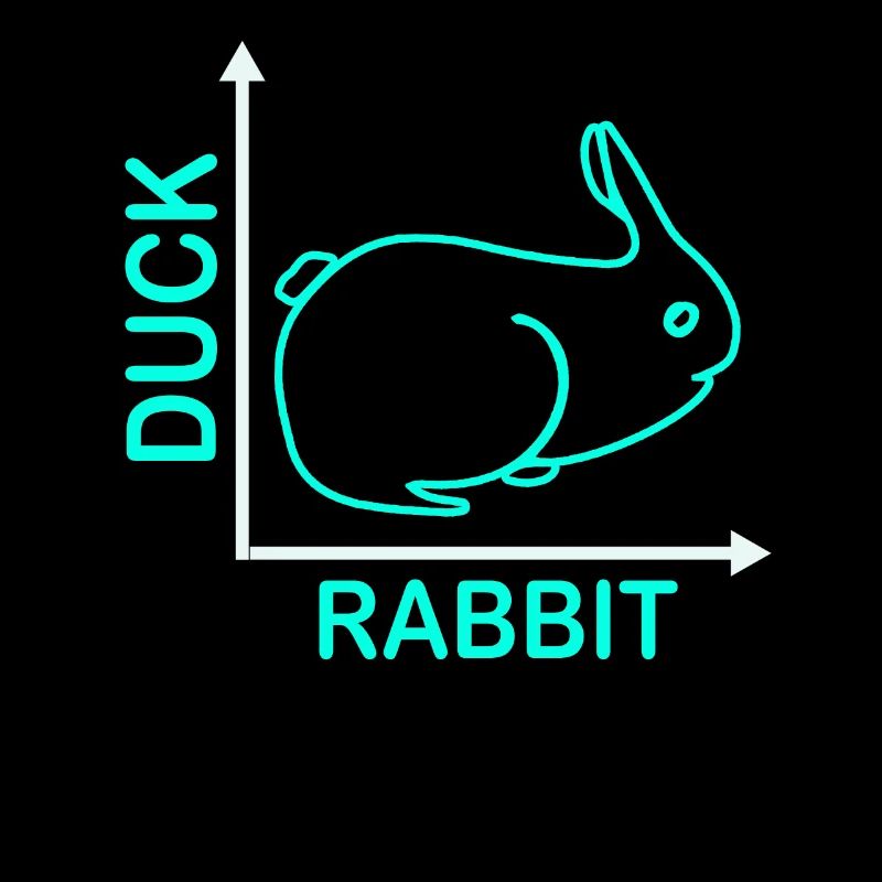 Wittgensteins Rabbit Duck Illusion