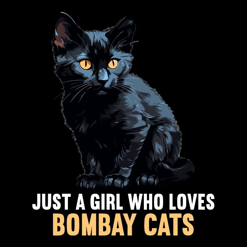 Chat de Bombay Bombay Katze