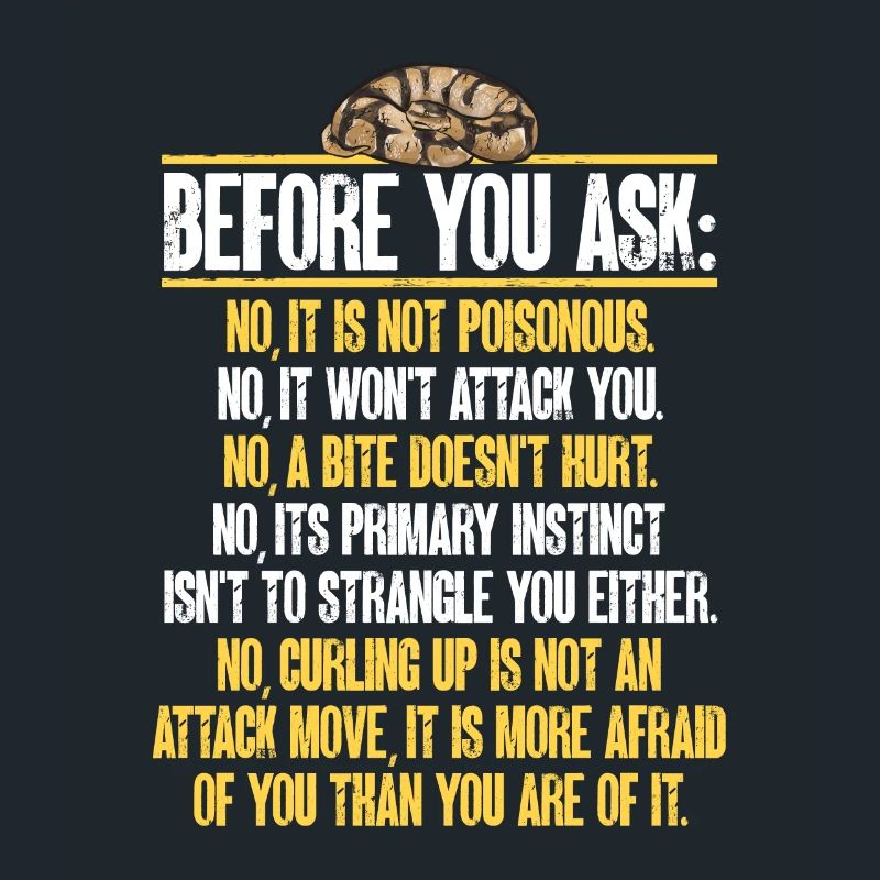 Ball Python Snake King Python