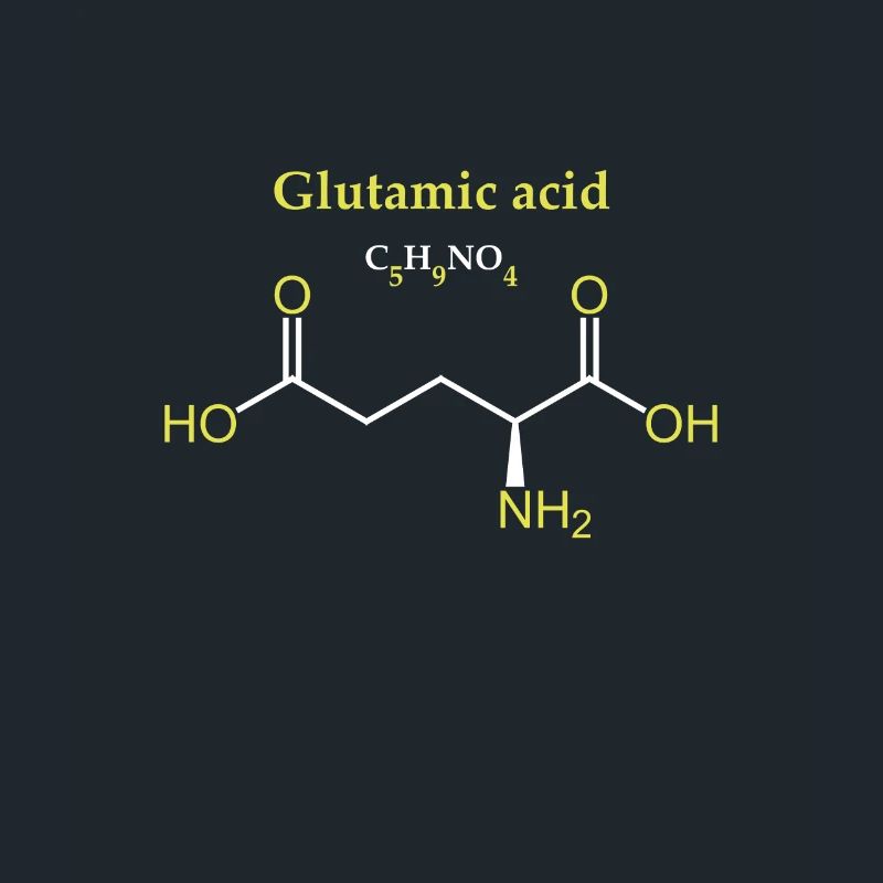Glutamic acid Molecule