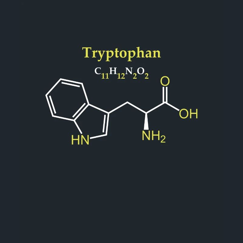 Tryptophane Molécule