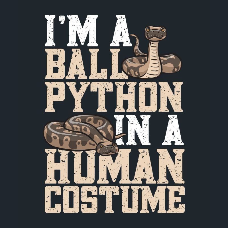 Ball Python Schlange Königspython