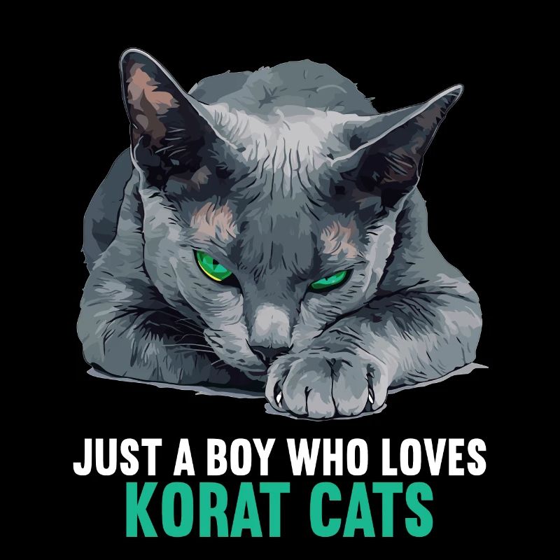 Korat Chaton Korat Chat