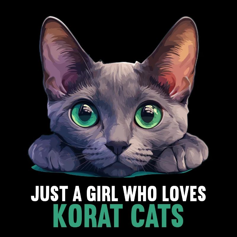 Korat Chaton Korat Chat