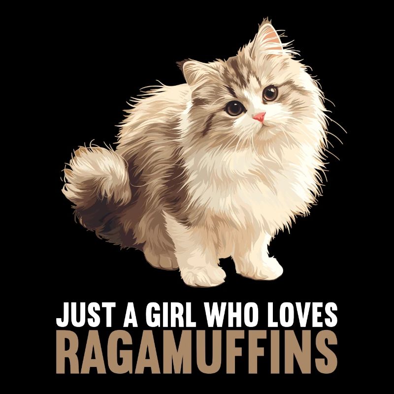Ragamuffin Kätzchen Ragamuffin Katze