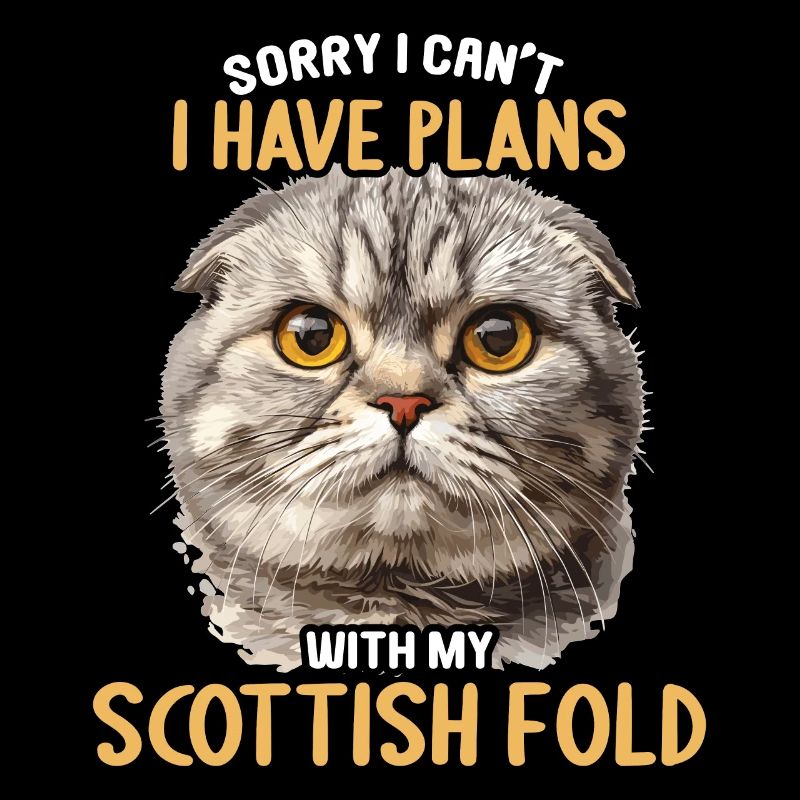 Scottish Fold Kitten Scottish Fold chat