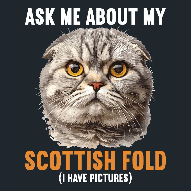 Scottish Fold Kätzchen Scottish Fold Katze