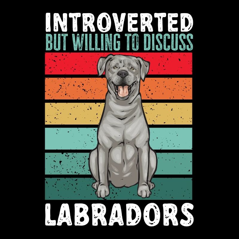Silberner Labrador Retriever Silberner Lab