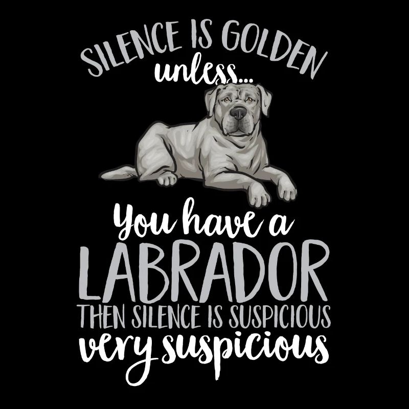 Silver Labrador Retriever Silver Lab