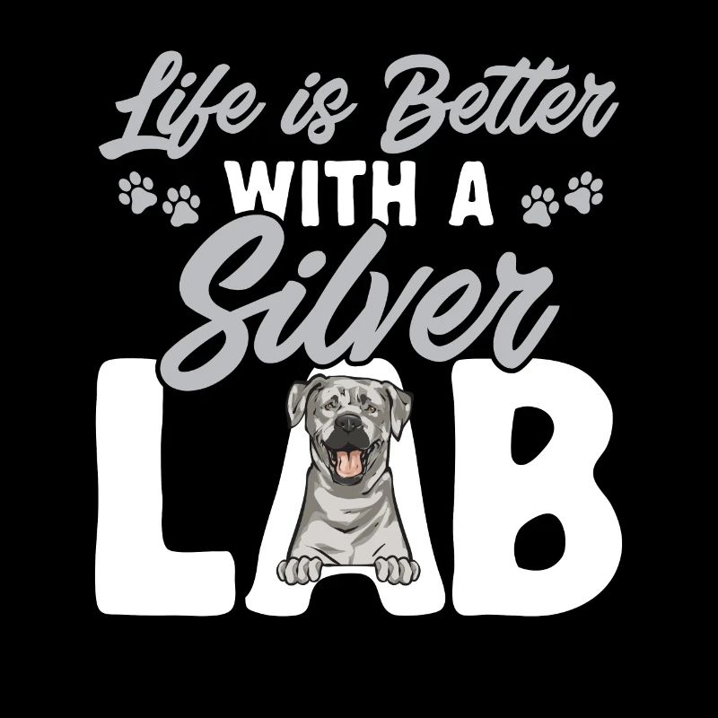 Silver Labrador Retriever Silver Lab
