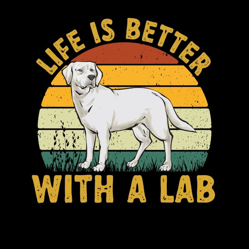 Labrador Retriever blanc Labrador Labrador blanc