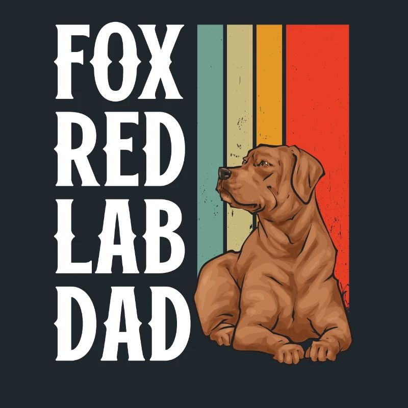 Fuchsroter Labrador Retriever Fox Red Labrador